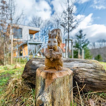 Baumwipfel-Resort "Lug Ins Land" Ilsenburg Ngoại thất bức ảnh